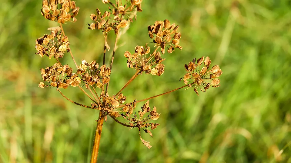 Фото: pxhere.com