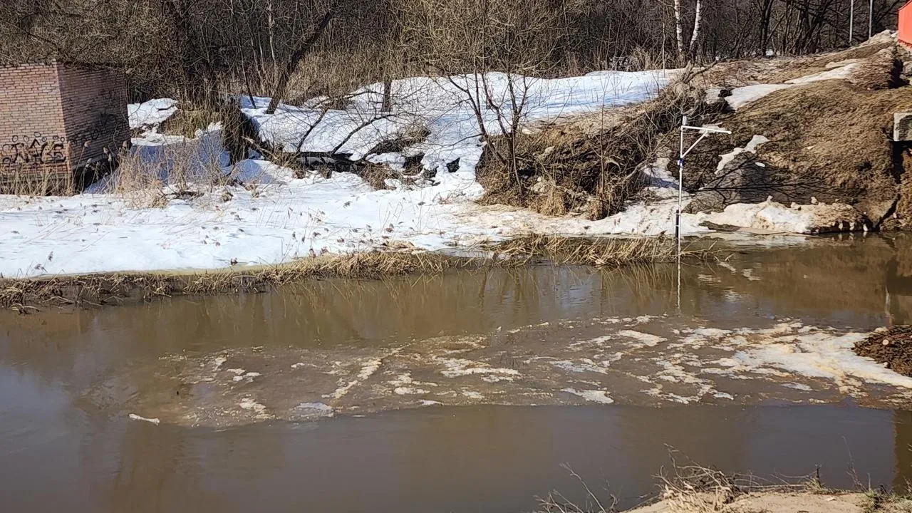МедиаБанк Подмосковья/Дмитрий Беденко