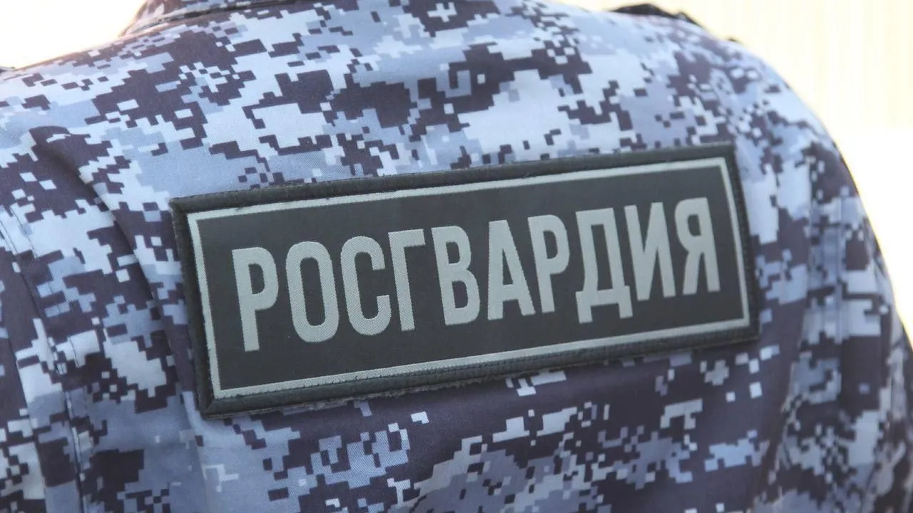 Подмосковные росгвардейцы в Воскресенске задержали подозреваемого в грабеже