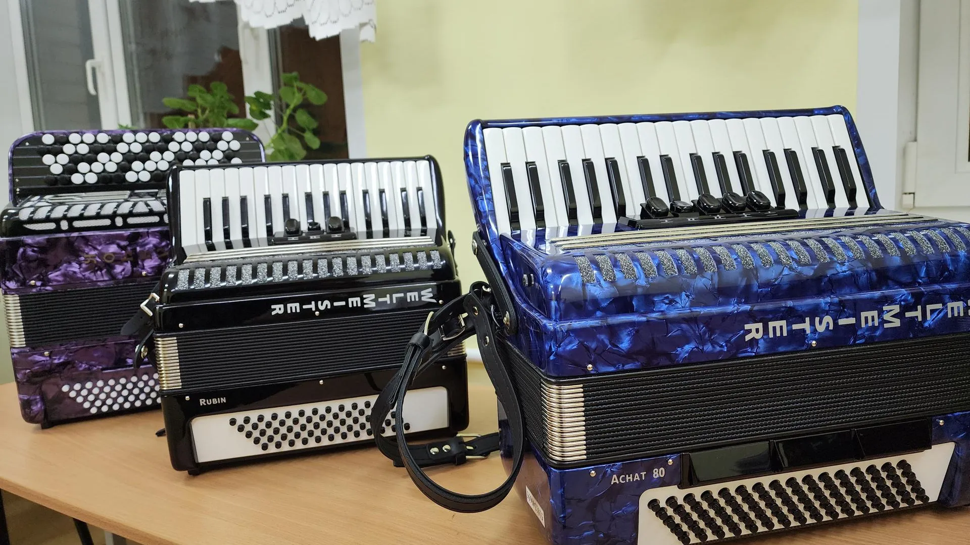 Светлана Плотникова