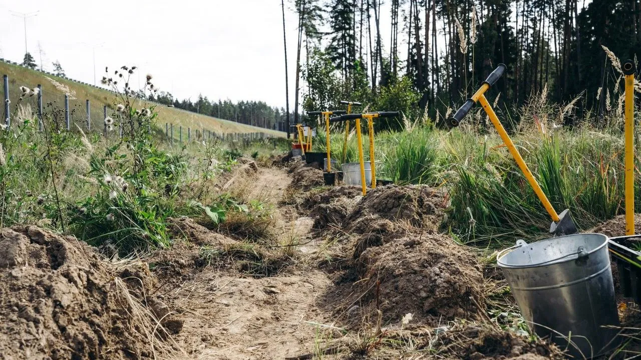 Комитет лесного хозяйства Московской области