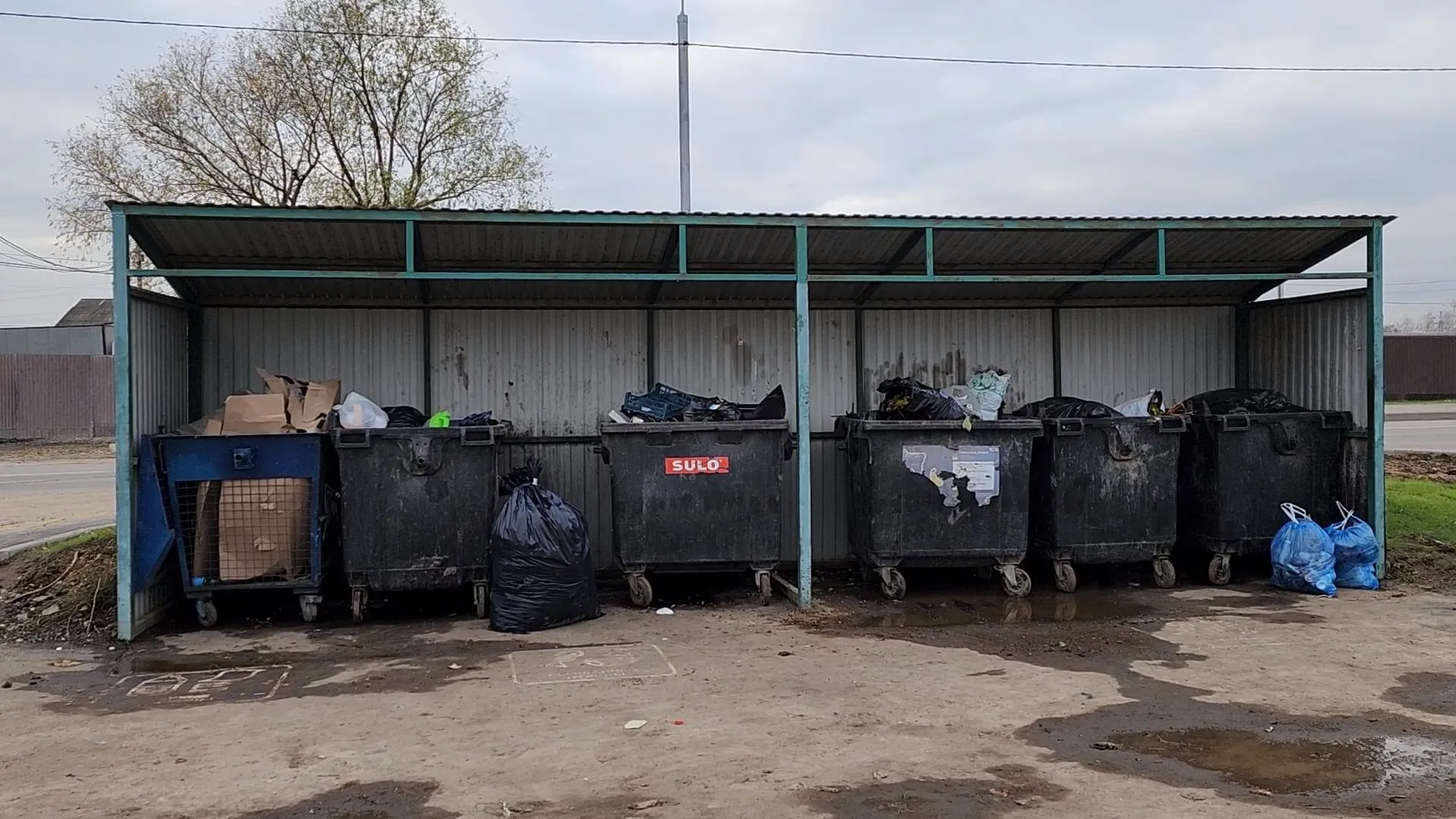 Сморкалов Никита