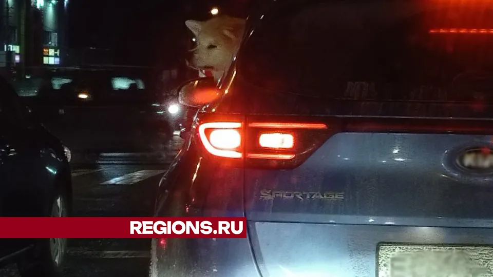 Фото: REGIONS/Василий Тремасов