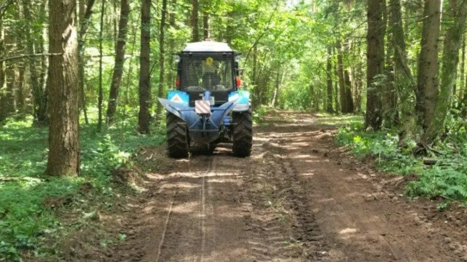 Фото: Комлесхоз МО