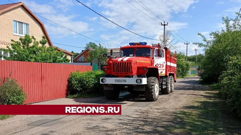 Фото: пресс-служба администрации городского округа Луховицы