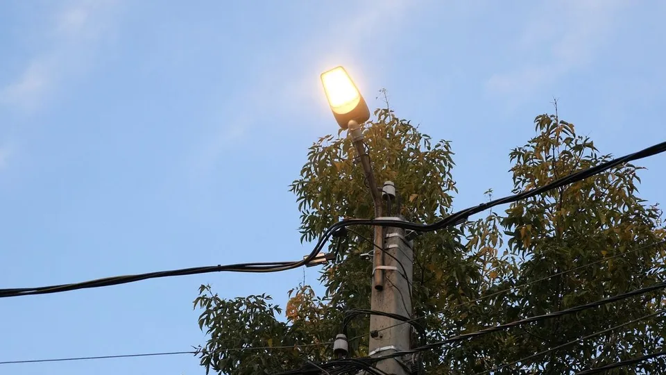 Фото: пресс-служба администрации г.о. Люберцы