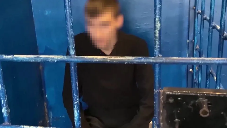 Фото: Управление МВД РФ по Московской области