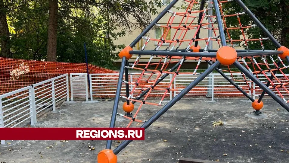 Фото: Ксения Афонина