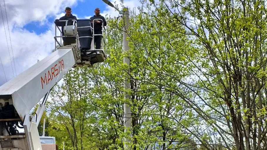 Фото: пресс-служба администрации Волоколамского округа