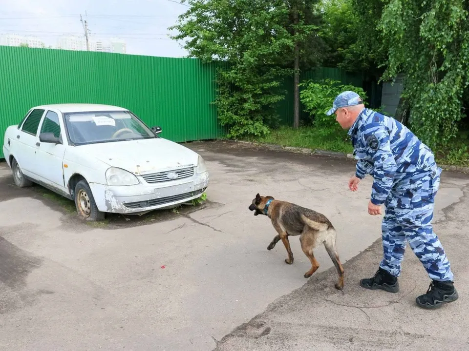 Фото: t.me/podolskadm