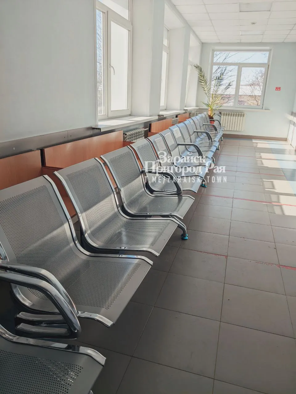 Фото: ТГ-канал "Зарайск||Пригород Рая".