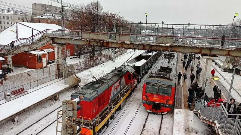 Фото: Елена Григорьева