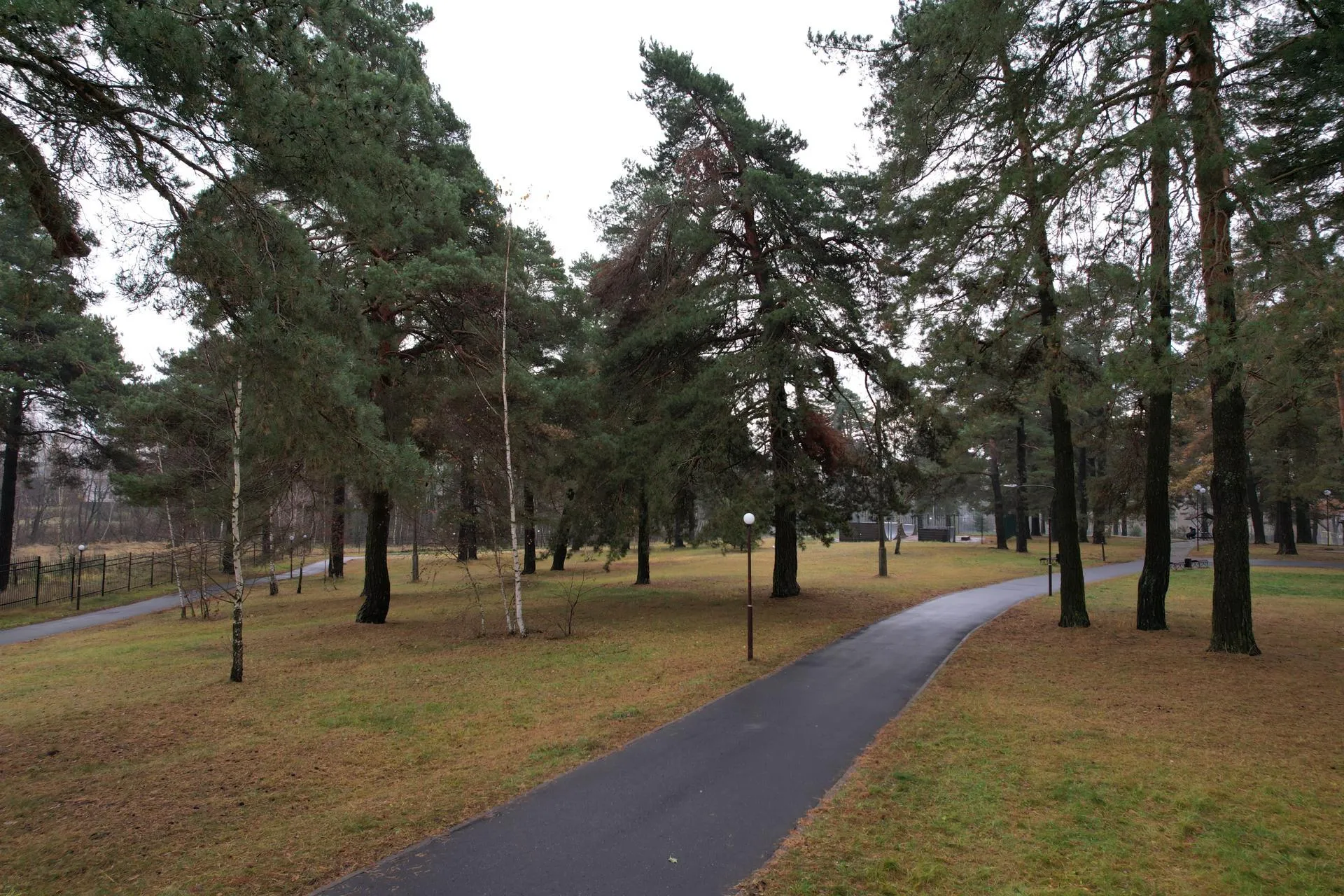 Фото: Ксения Борцова