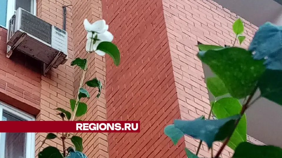 Фото: Елена Быховская