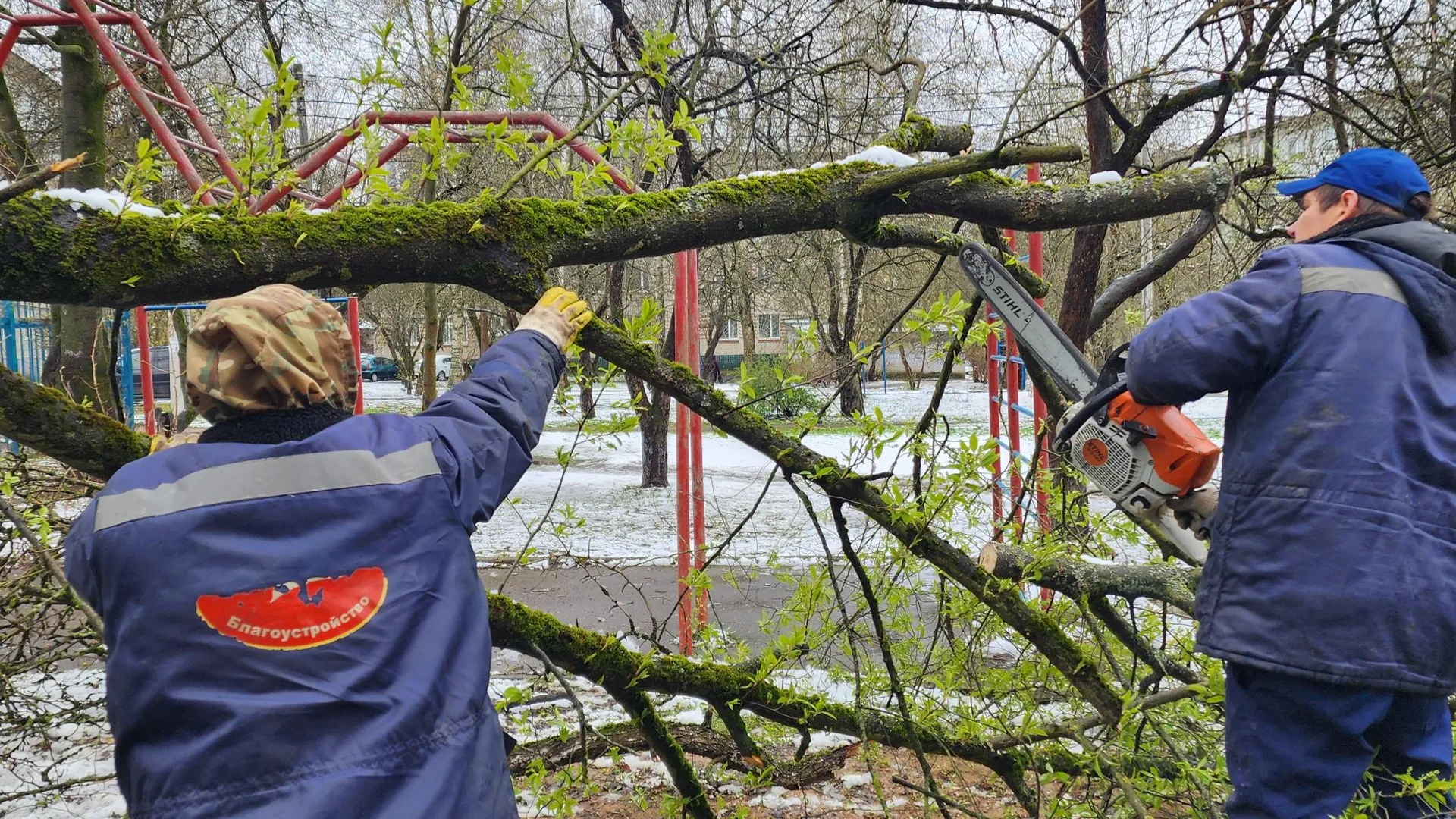 сотрудники МБУ "Чеховское благоустройство" убирают упавшее дерево (г. Чехов, Вокзальная пл., д. 2)