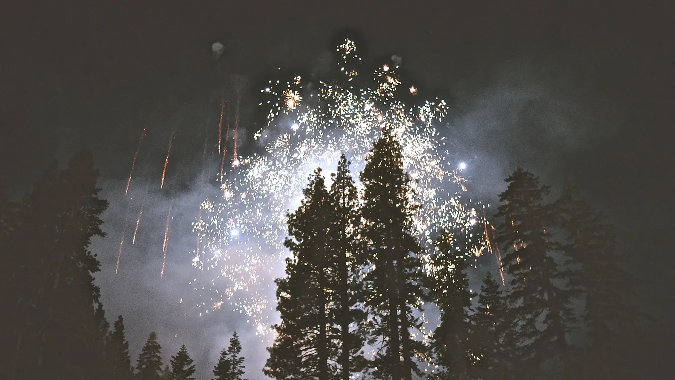 Фото: pxhere.com