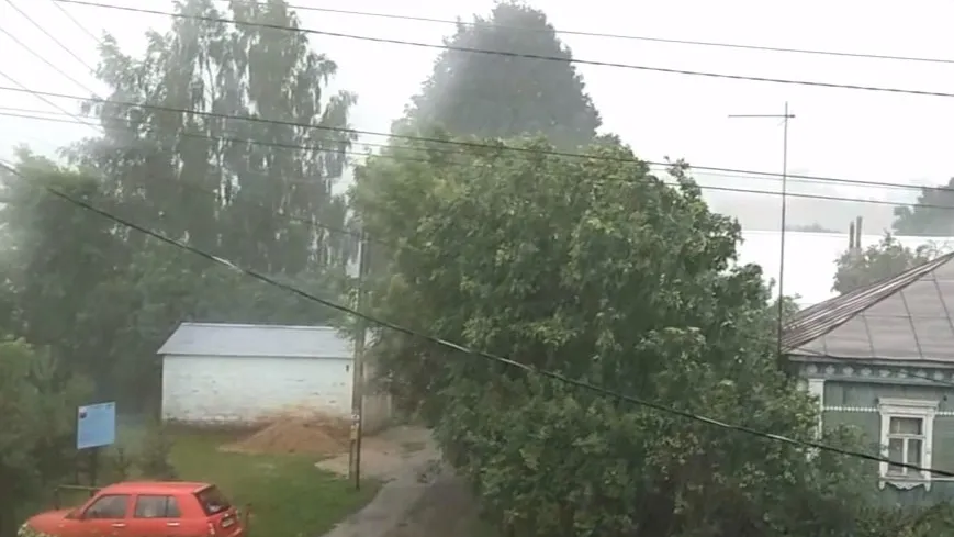 Фото: t.me/mozhayskmedia