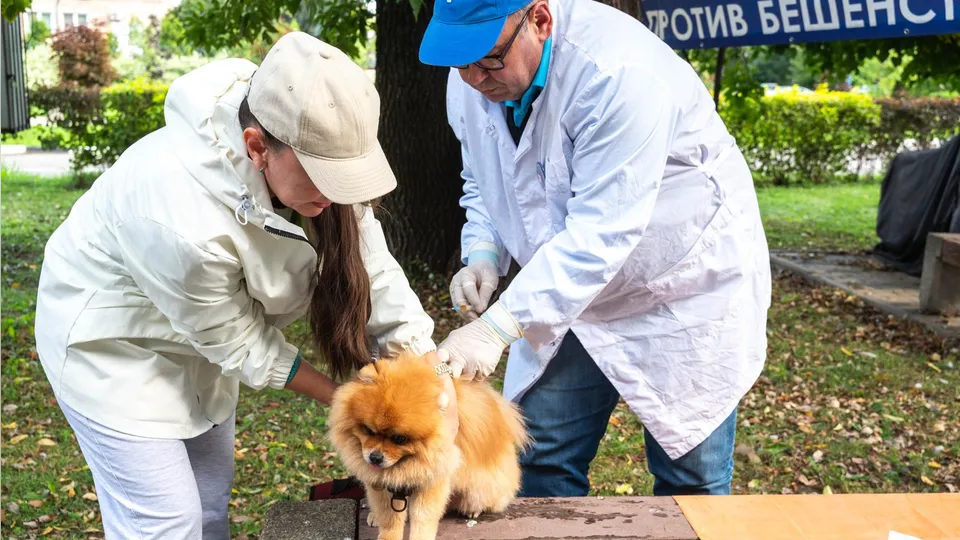 Фото: администрация г.о. Реутова