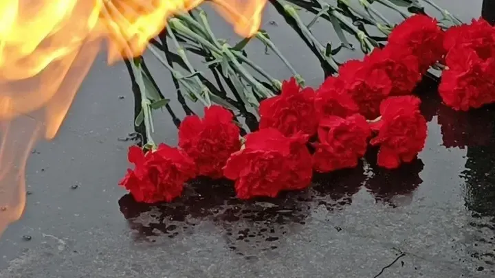 МедиаБанк Подмосковья/Екатерина Федосеева