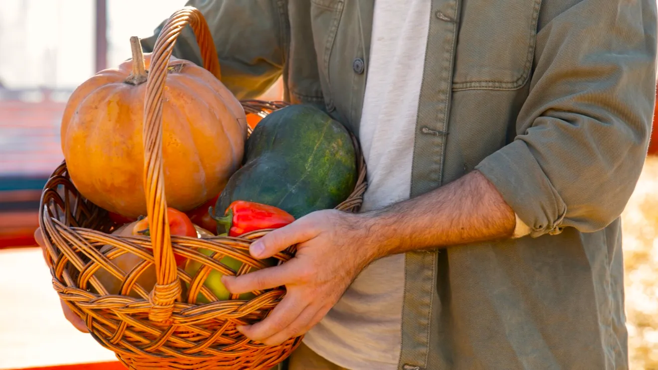 Фото: freepik.com