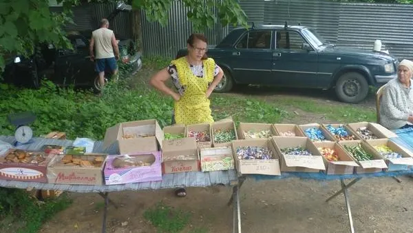 Пресс-служба Госадмтехнадзора МО