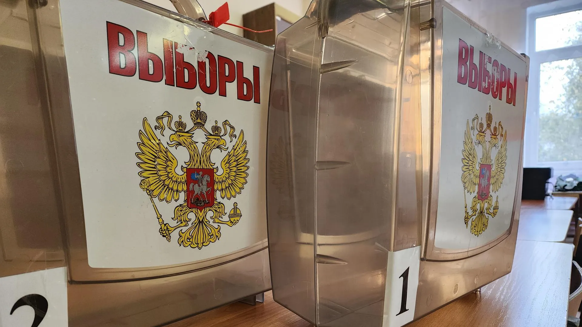 Фото: Светлана Плотникова