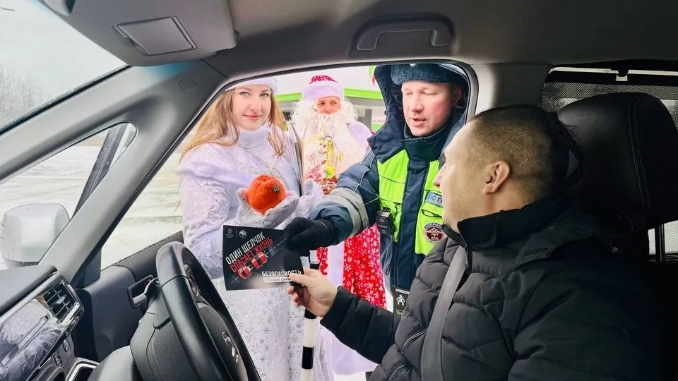 Фото: луховицкий отдел Госавтоинспекции