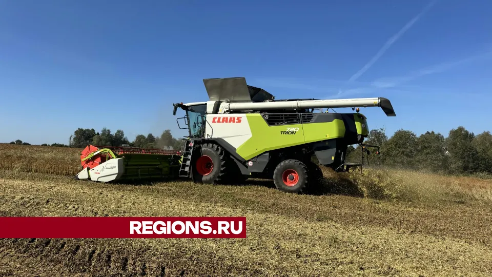 Фото: Татьяна Рунова