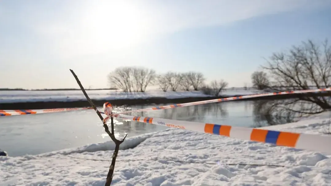 пресс-служба администрации Одинцовского г.о.