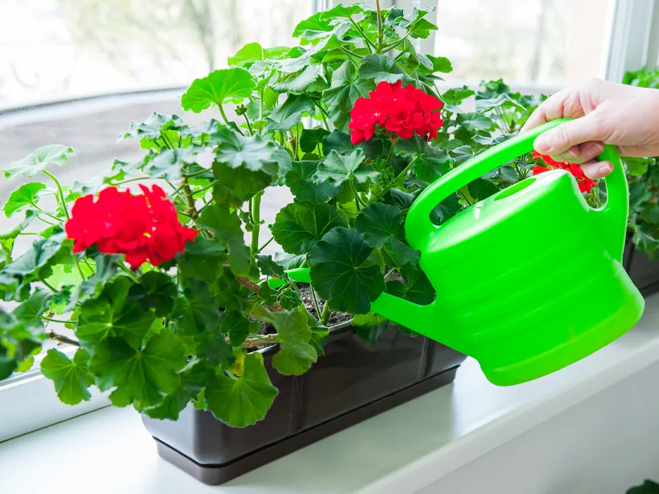 Фото: istockphoto.com/OKrasyuk&nbsp;