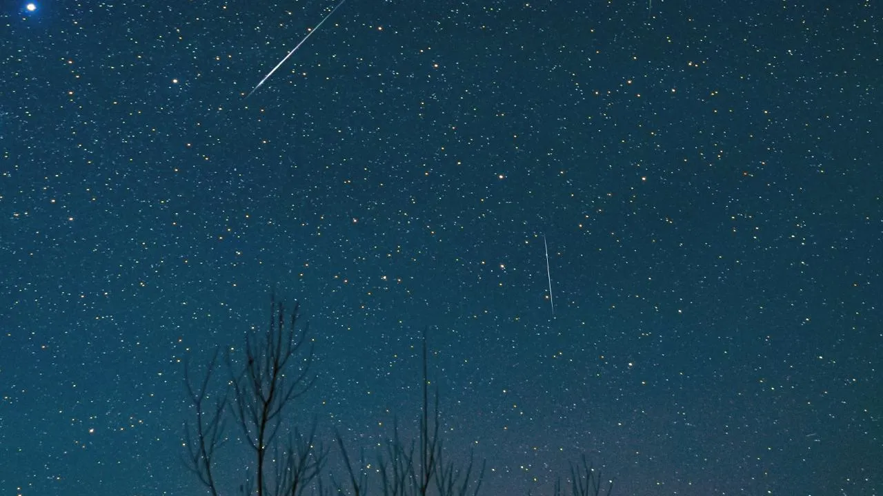 istockphoto.com/m-gucci