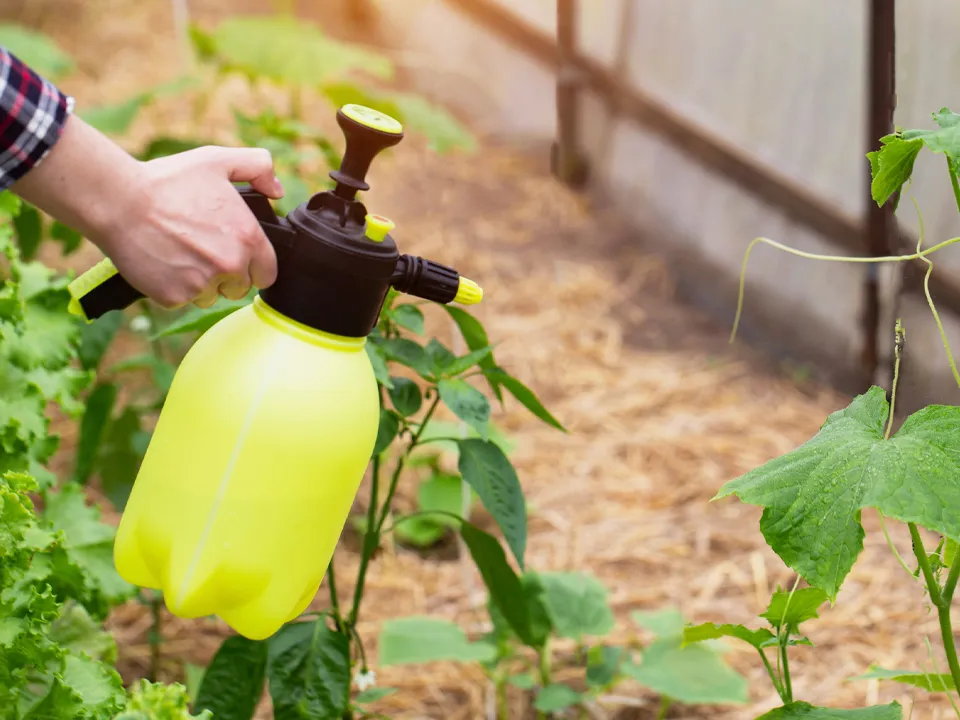 Фото: istockphoto.com
