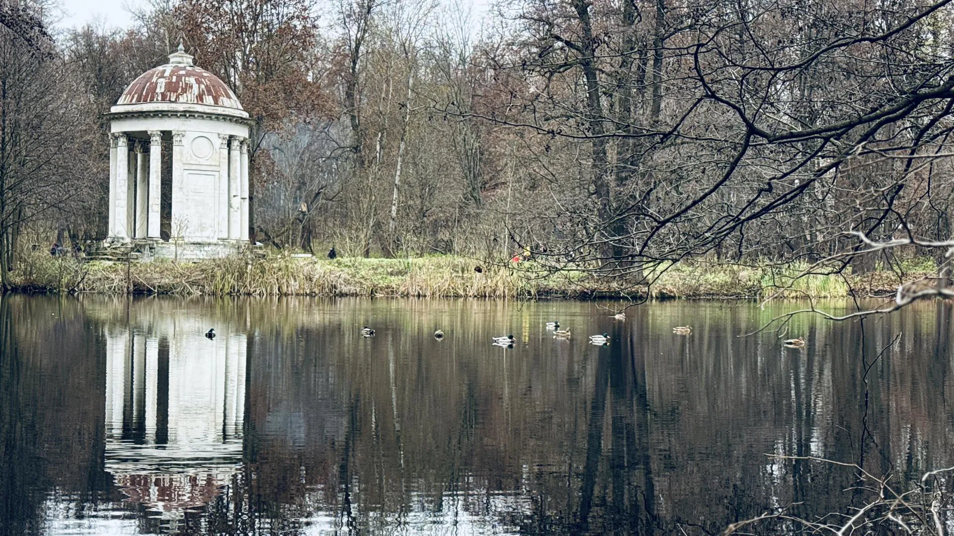 Фото: МедиаБанк Подмосковья/Ольга Стаферова