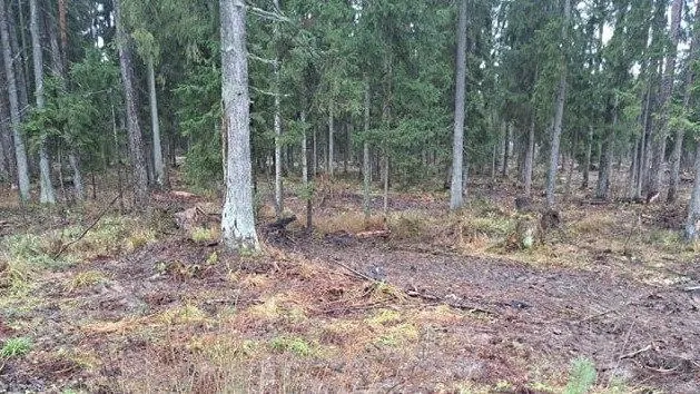 Комитет лесного хозяйства Московской области