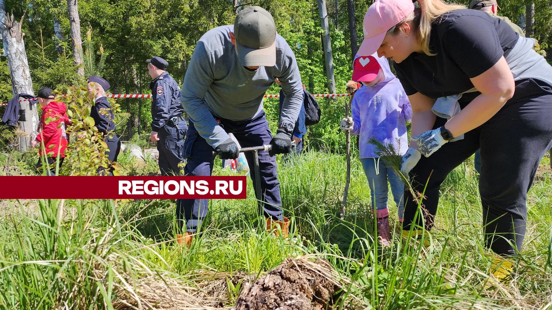 Фото: Александр Степушкин
