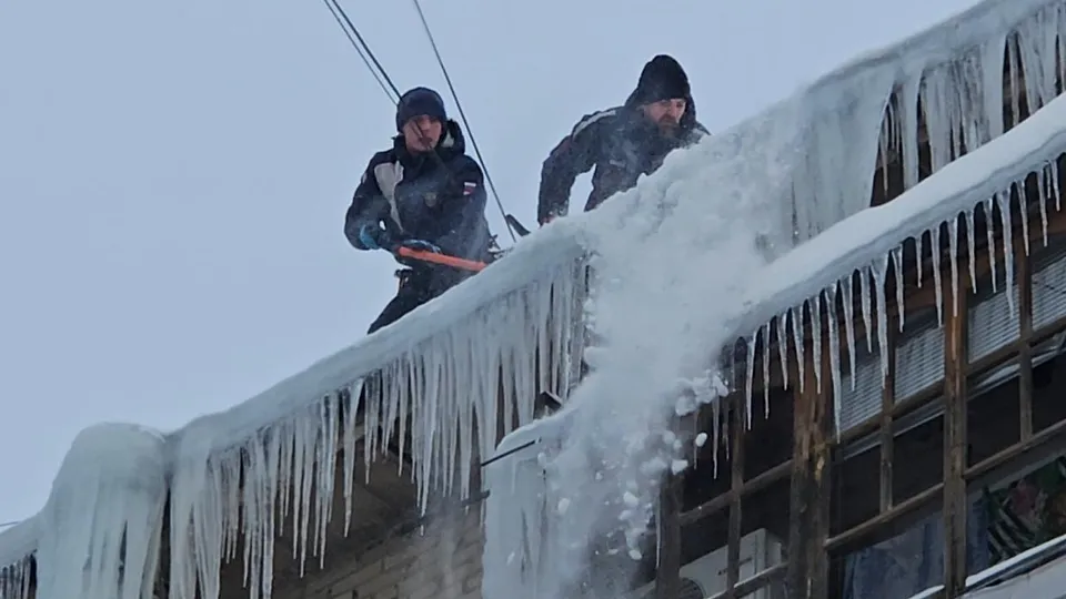 Фото: МедиаБанк Подмосковья/Ольга Вельшикаева