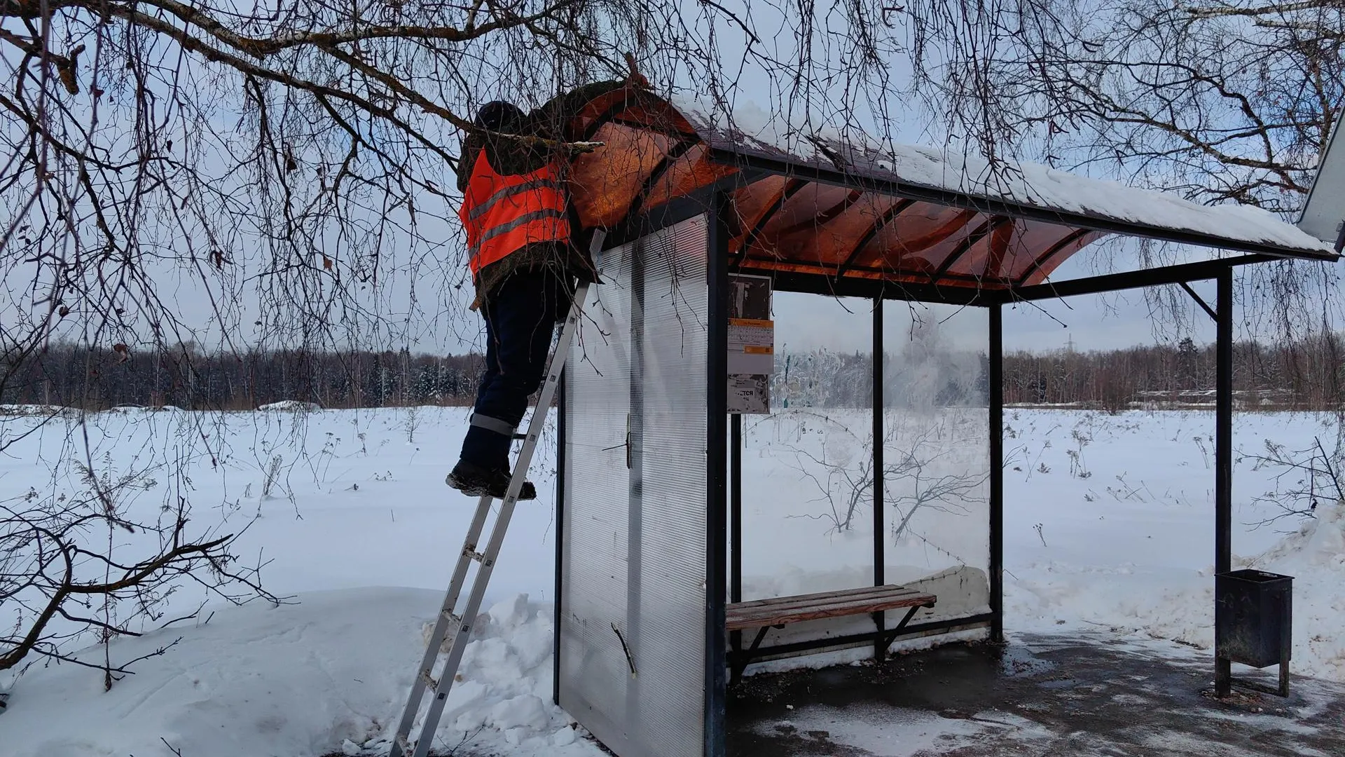 Елена Катасонова