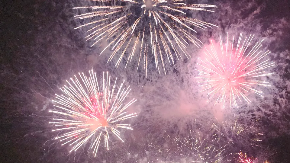 Фото: МедиаБанк Подмосковья/Роман Яковлев