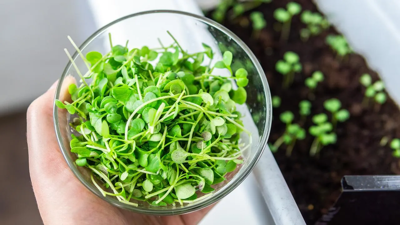 istockphoto.com/Алексей Филатов