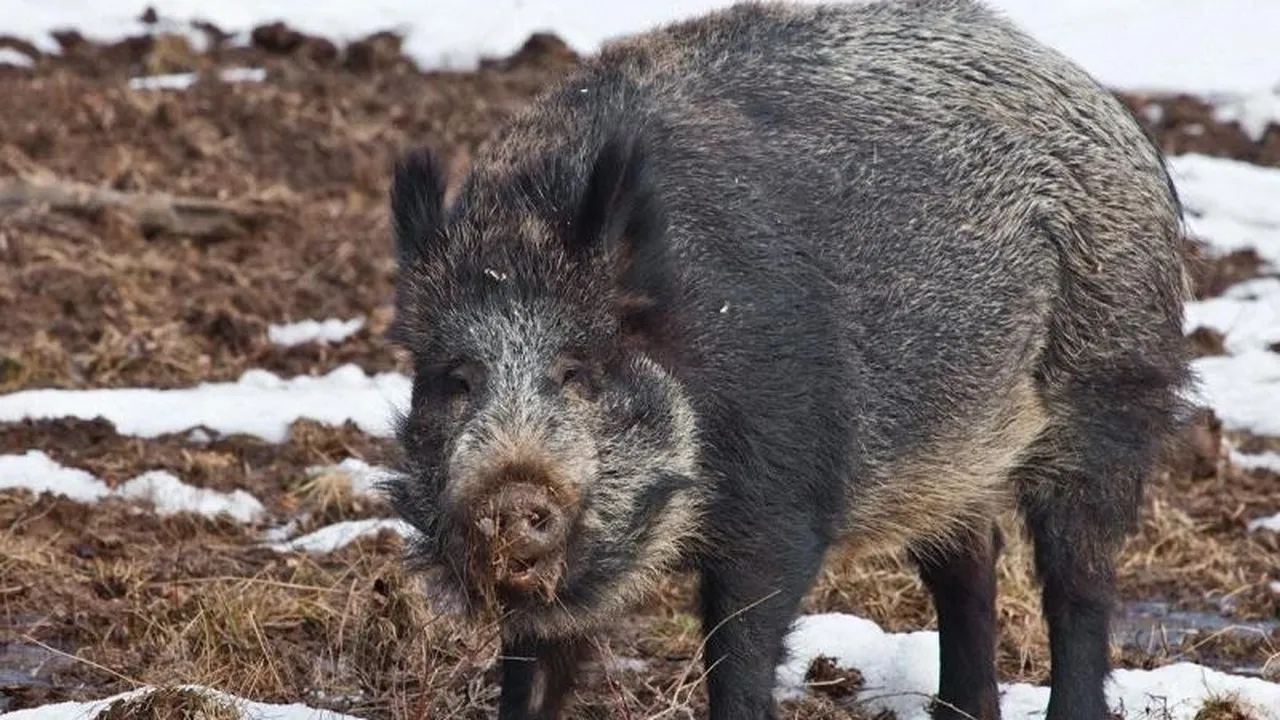 Фото: М. Семенов