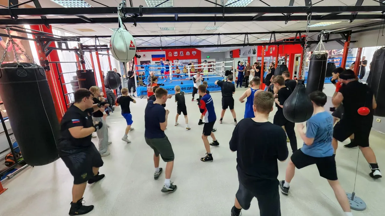 REGIONS/Екатерина Данилина