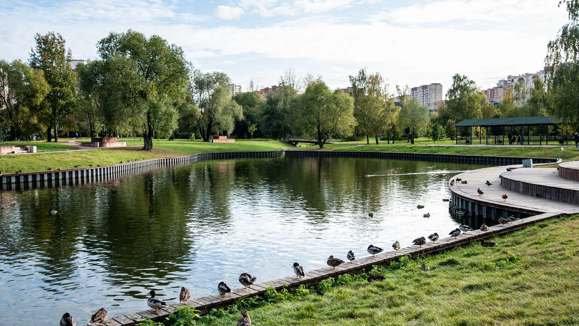 медиасток.рф