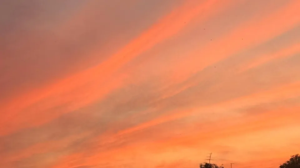 Фото: REGIONS/Дарья Кудинова