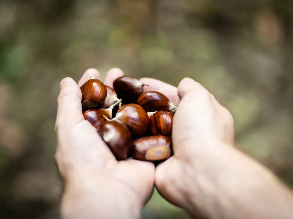 Фото: istockphoto.com/Silvia Bianchini&nbsp;