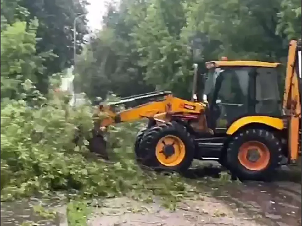 Фото: t.me/top_shelkovo