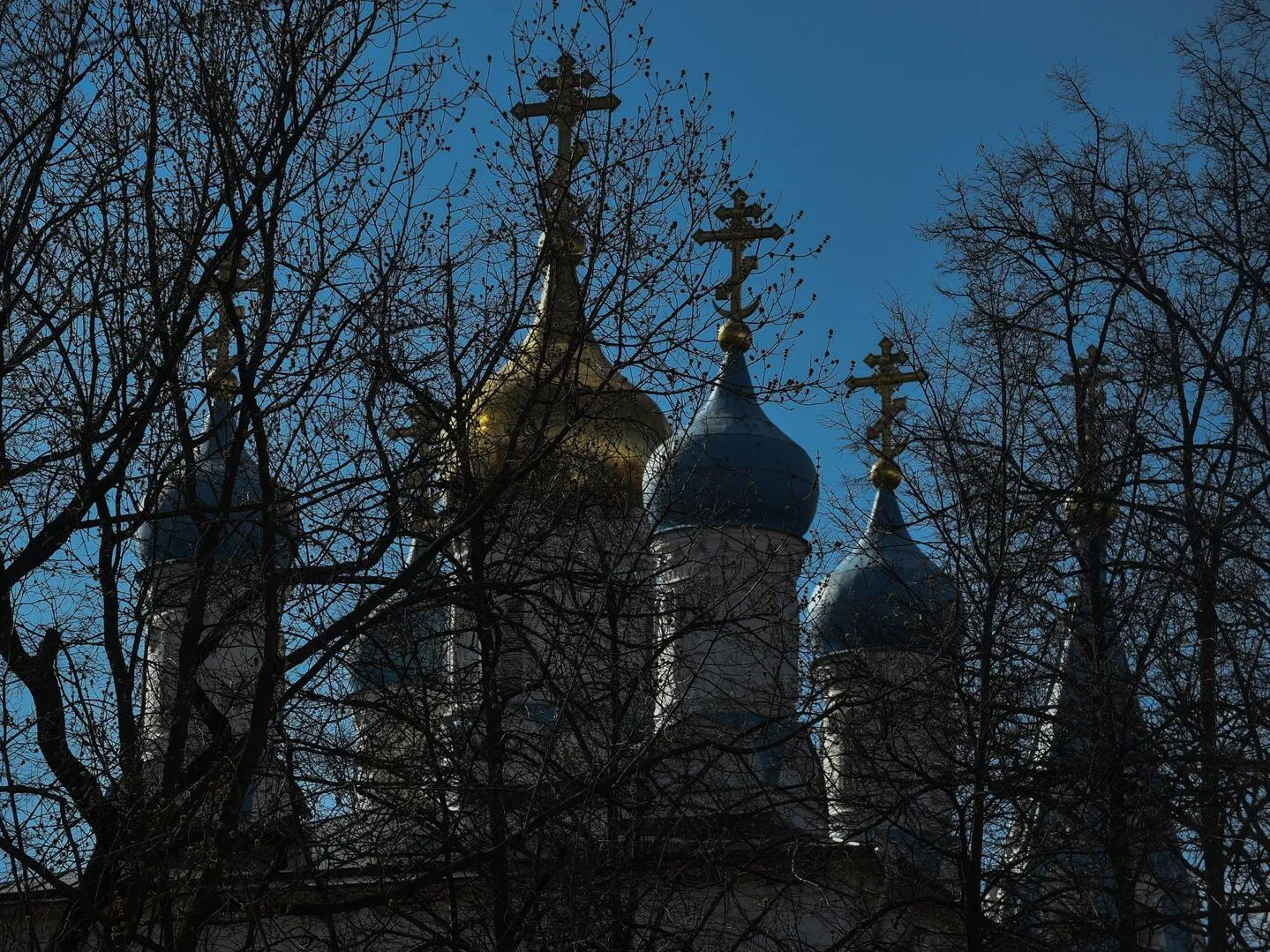 Фото: медиасток.рф