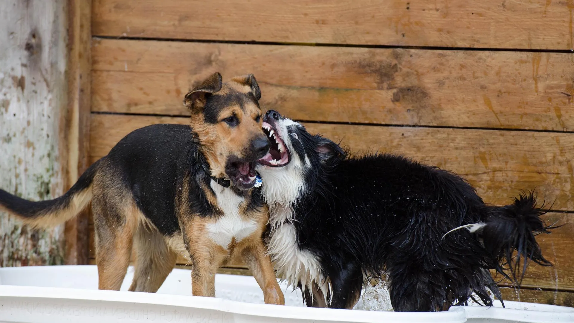 Источник: Pxhere