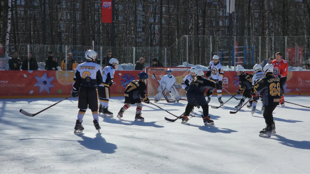 МедиаБанк Подмосковья/Юлия Смагринская