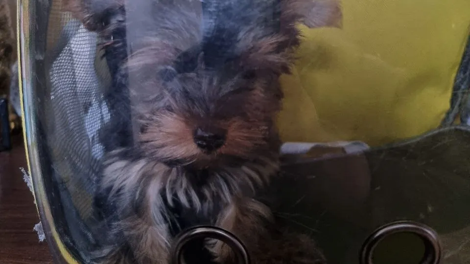 Фото: Анна Иванова