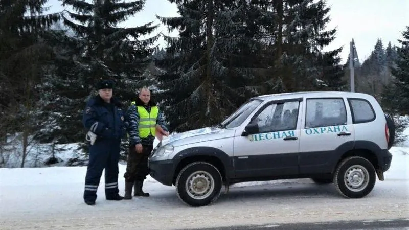 Пресс-служба Комитет лесного хозяйства МО